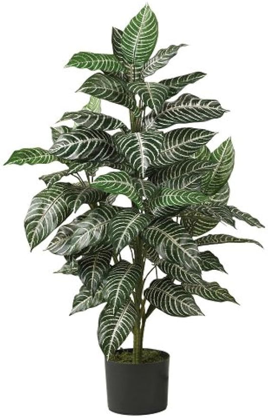 Zebra Silk Plant, Green 3 ft.