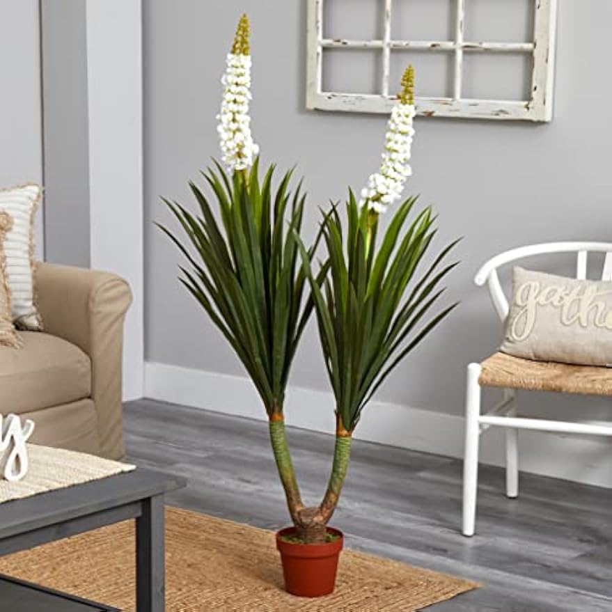 57in. Flowering Yucca Plant