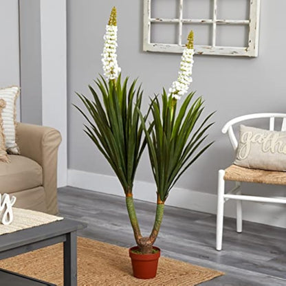 57in. Flowering Yucca Plant