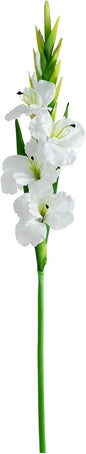 45-in Artificial Gladiolus Flower Stems, Set of 3 Long Stem Artificial Flowers for Home or Office Décor, Faux Gladiolus Flower Stems in No50
