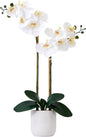26in. Artificial Double Orchid Phalaenopsis with Decorative Vase (Real Touch)