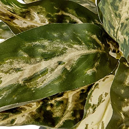 Aglaonema with Decorative Vase Silk Plant