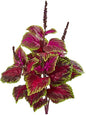 23” Coleus Bush Artificial (Set of 6) Silk Plants, Pink