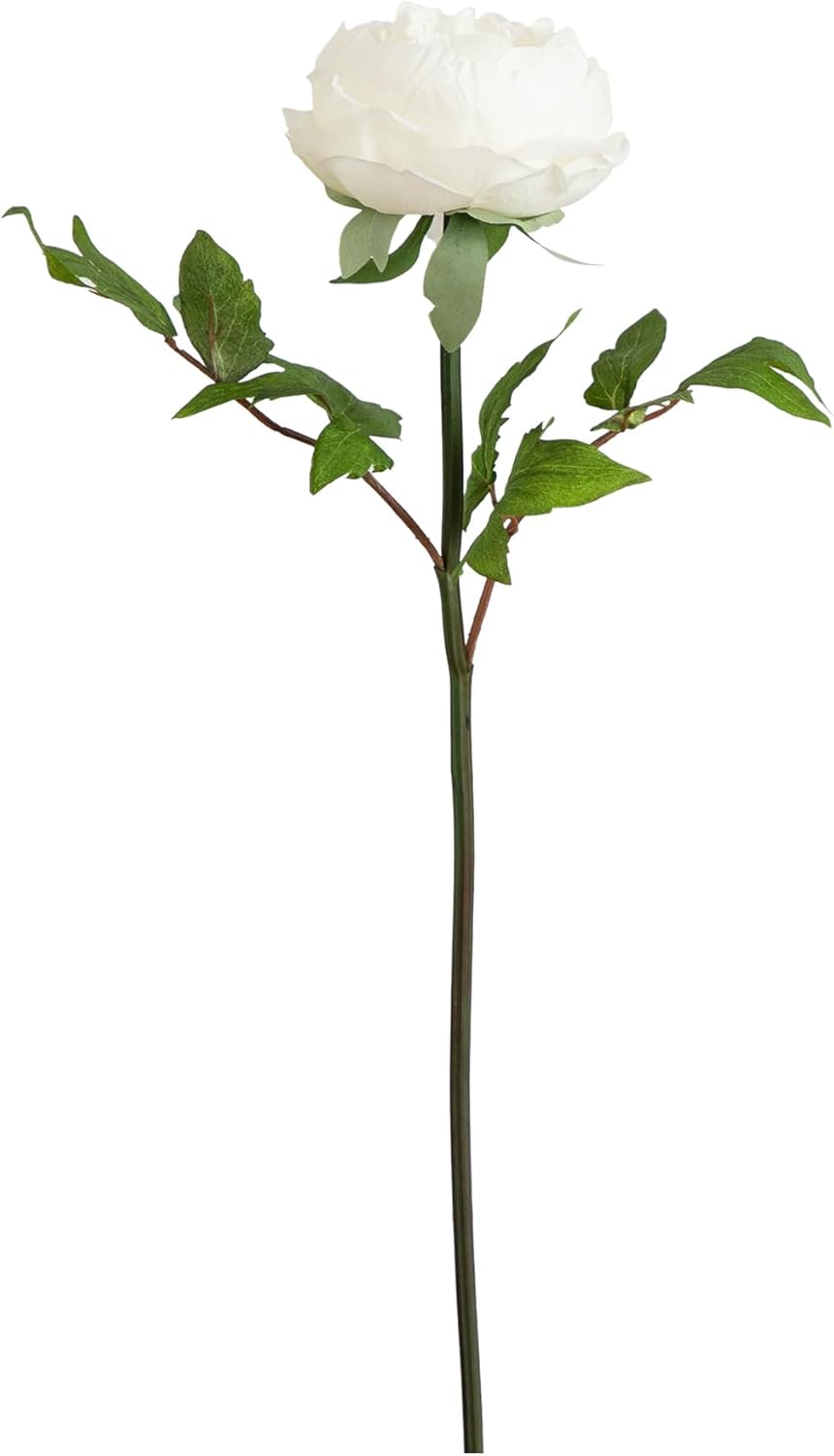 20-in Artificial Peony Flower Stems, Set of 3 Long Stem Artificial Flowers for Home or Office Décor, Faux Peony Flower Stems in White f No50