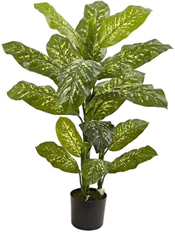 4ft. Dieffenbachia Plant (Real Touch)