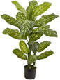 4ft. Dieffenbachia Plant (Real Touch)