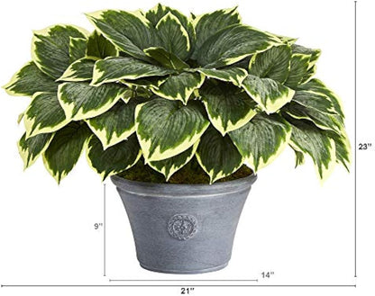 23in. Variegated Hosta Artificial Plant in Gray Planter