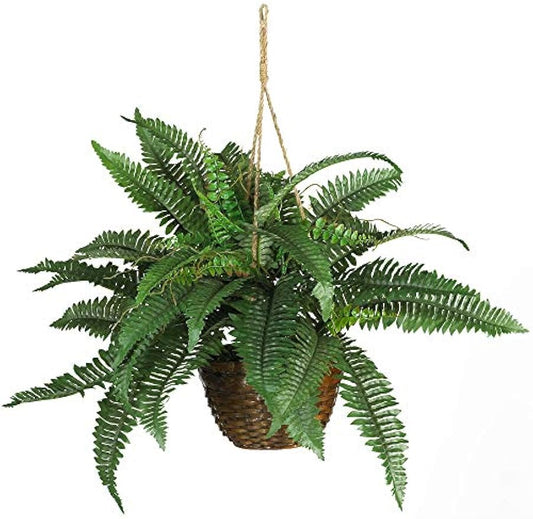 6599 18in. Boston Fern Silk Hanging Basket,Green,10.25" x 10.25" x 17.5"