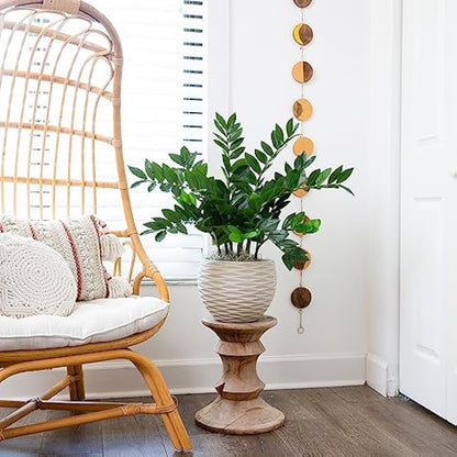 28in. Artificial Zamioculcas Plant with Decorative Planter