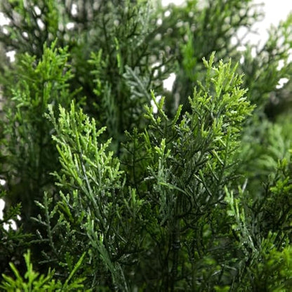 4-FT Artificial Cedar Bush, Indoor/Outdoor UV Resistant Faux Cedar Bush in Black Nursery for Front Porch Décor, Artificial Shrubs for O
