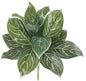 21in. Silver Aglaonema Artificial Plant (Real Touch) (Set of 6)