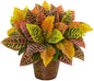 17in. Garden Croton Artificial Plant in Basket (Real Touch)