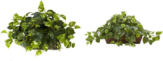 15in. Pothos Ledge Plant (Set on Foam) Silk Plant,Green Pothos with Ledge Basket, Green,34x18x15
