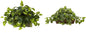 15in. Pothos Ledge Plant (Set on Foam) Silk Plant,Green Pothos with Ledge Basket, Green,34x18x15