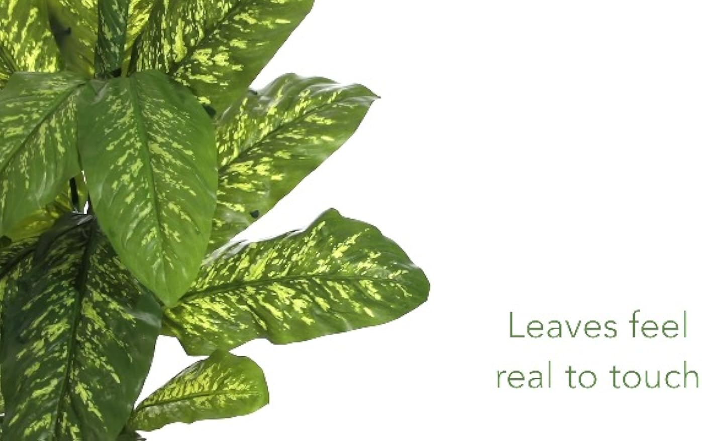 4ft. Dieffenbachia Plant (Real Touch)