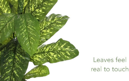 4ft. Dieffenbachia Plant (Real Touch)
