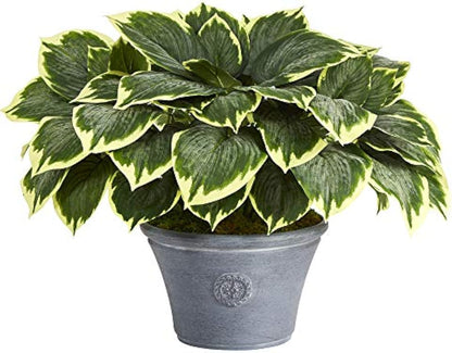 23in. Variegated Hosta Artificial Plant in Gray Planter