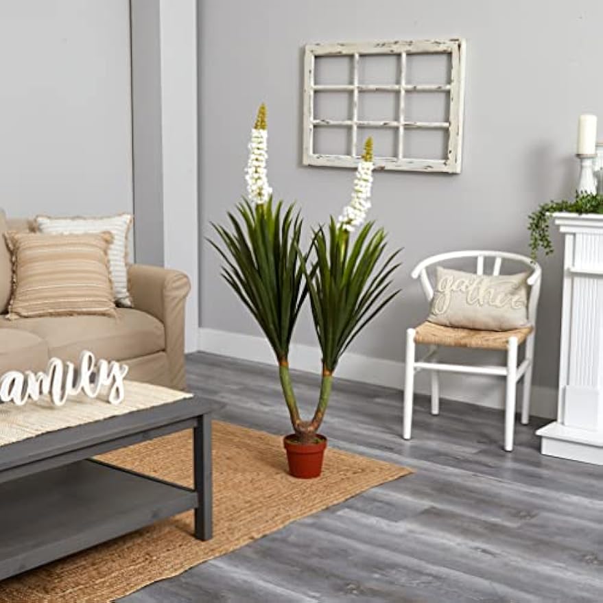 57in. Flowering Yucca Plant