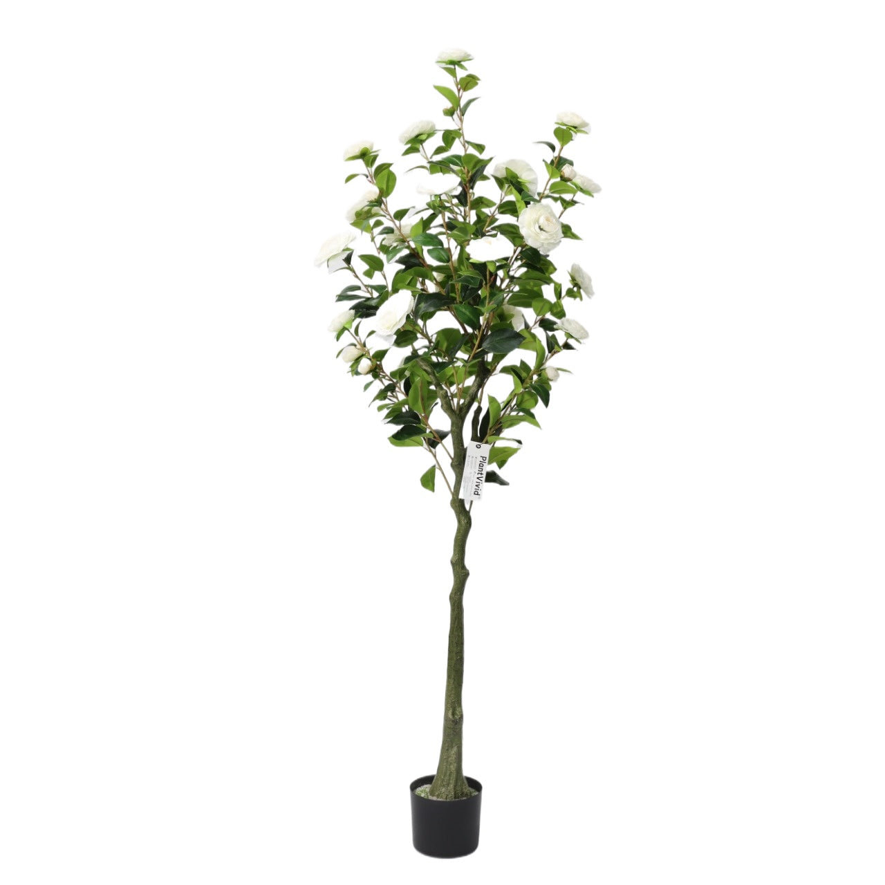 150cm Artificial Camellia Tree White Blooms Non-Detachable Faux Plant