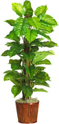 Large Leaf Philodendron Silk Plant (Real Touch) No50