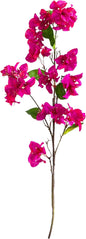 47-in Artificial Bougainvillea Flower Stems, Set of 3 Long Stem Artificial Flowers for Home or Office Décor, Faux Bougainvillea Flower No50