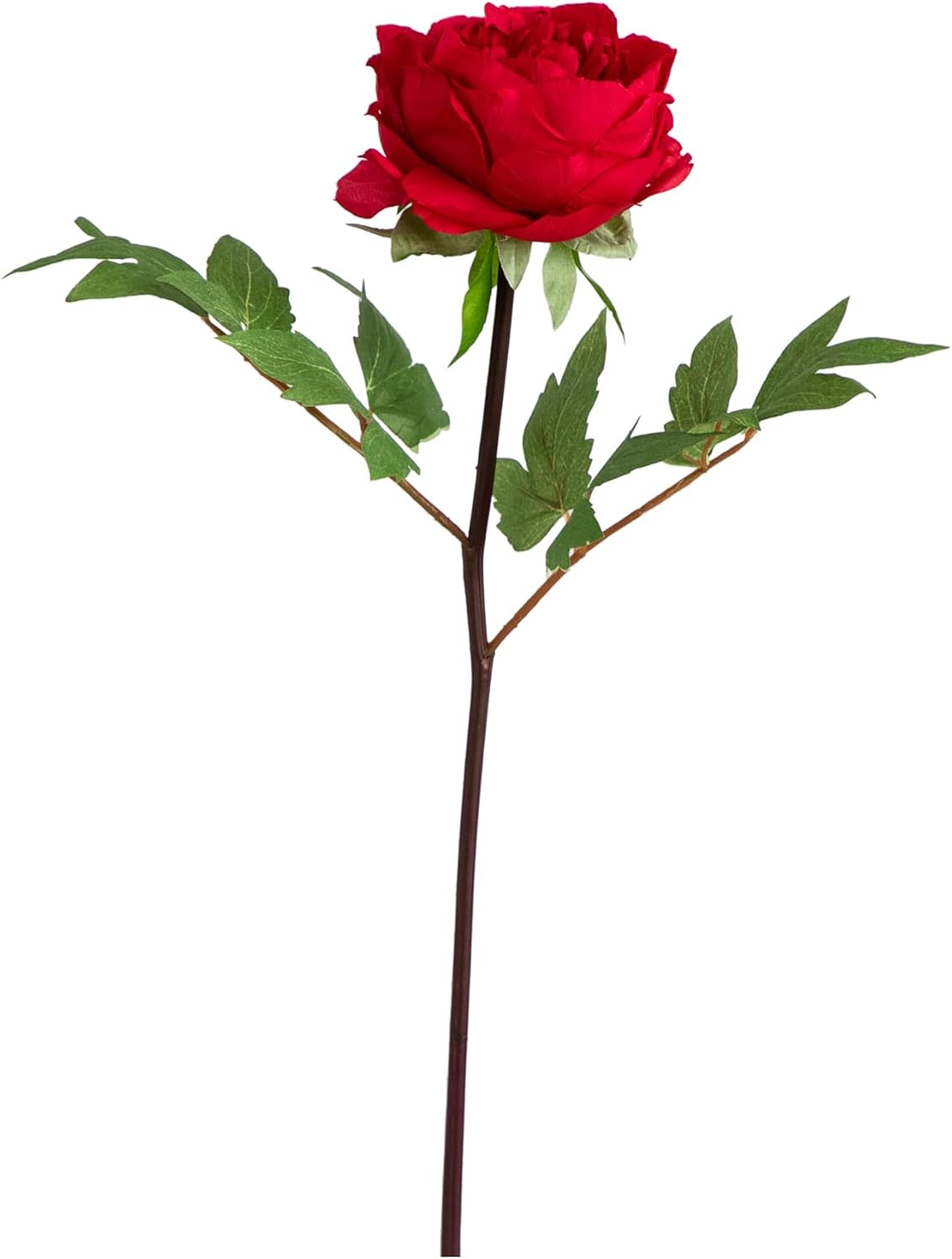 20-in Artificial Peony Flower Stems, Set of 3 Long Stem Artificial Flowers for Home or Office Décor, Faux Peony Flower Stems in White f No50