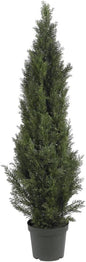 5291 5ft. Mini Cedar Pine Tree (Indoor/Outdoor),Green,5'