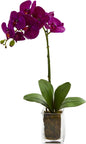 24-in. Orchid Phalaenopsis Artificial Vase Silk Arrangements, Cream No50