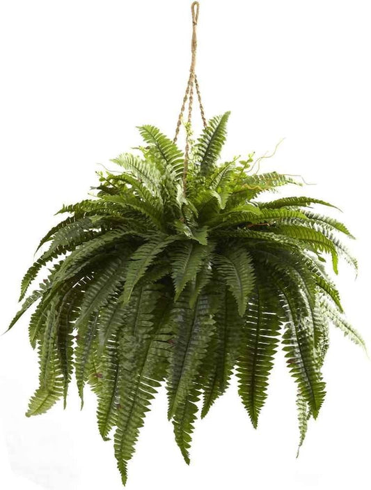 6788 Double Giant Boston Fern Hanging Basket,Green