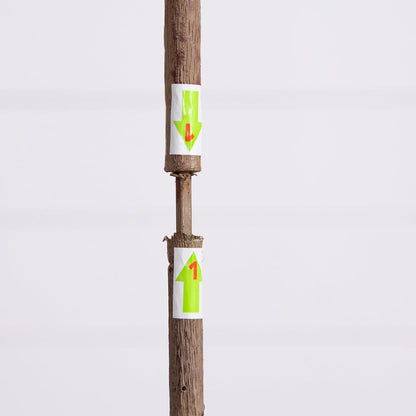 6ft Artificial Olive Tree - Slim Minimalist Design with Lifelike Faux Olives, Flexible Branches, Includes Nursery Planter