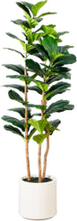 5ft. Artificial Fiddle Leaf Tree in Decorative White Planter
