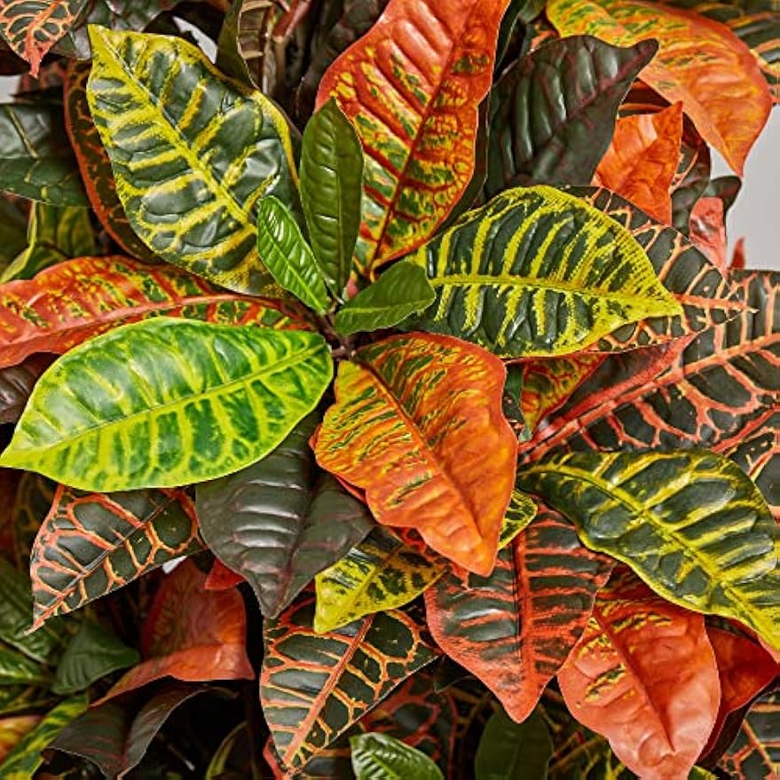 5.5ft. Croton Artificial Plant in Orange Planter (Real Touch)