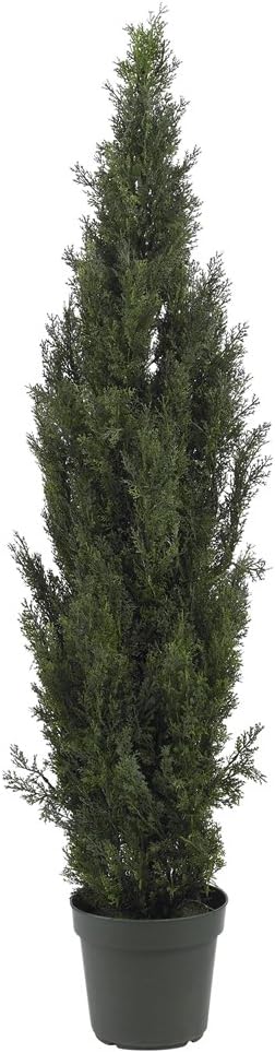 6ft. Mini Cedar Pine Tree (Indoor/Outdoor)