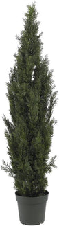 6ft. Mini Cedar Pine Tree (Indoor/Outdoor)