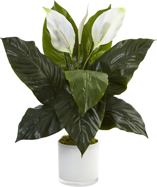 Spathiphyllum Artificial Flowering Peace Lily in Glossy Glass Planter
