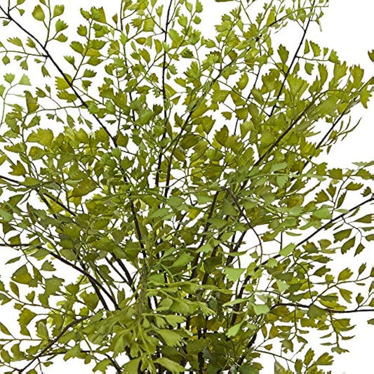4251 Maiden Hair Artificial Plant in Planter Green Small