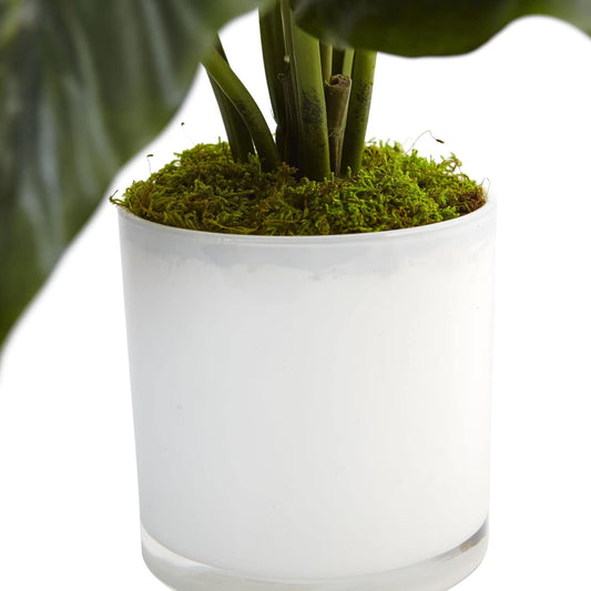 Spathiphyllum Artificial Flowering Peace Lily in Glossy Glass Planter