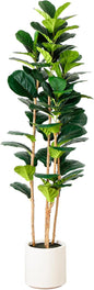 6ft. Artificial Fiddle Leaf Tree in Decorative White Planter