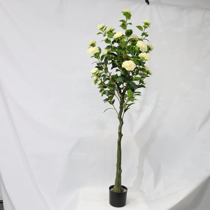 150cm Single-Stem Camellia Tree Champagne Blossoms Fixed Realistic Artificial Plant