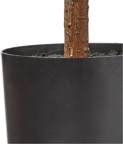 54in. Fiddle Leaf Artificial Tree (Real Touch)