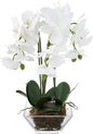 4570 Triple Phalaenopsis Orchid in Glass Vase,Green/White