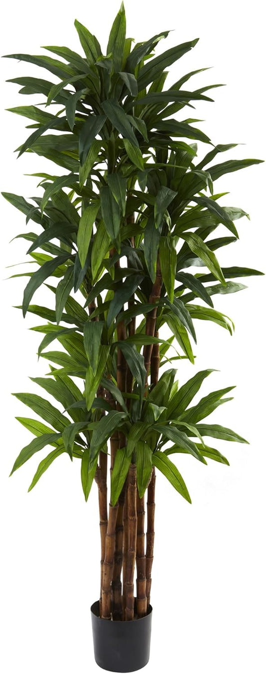 5403 Dracaena Tree, 6.5-Feet, Green,84" x 8" x 8"