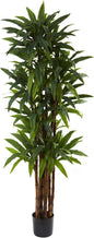 5403 Dracaena Tree, 6.5-Feet, Green,84" x 8" x 8"
