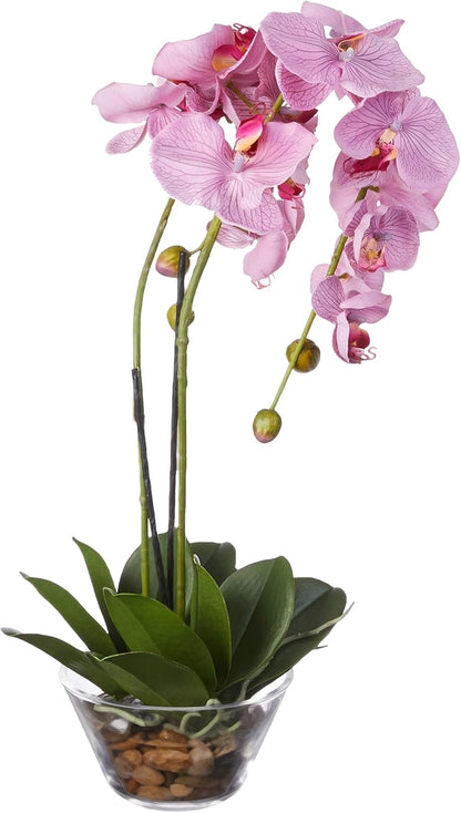 4643-WH Phalaenopsis with Glass Vase Decorative Silk Flower Arrangement, White 29 x 10.25 x 10.25 No50
