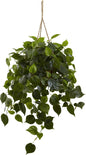 Philodendron Hanging Basket UV Resistant (Indoor/Outdoor)