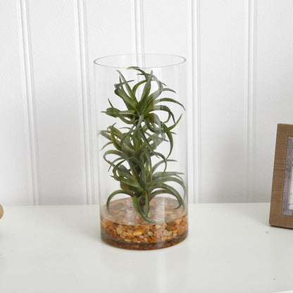 Air Plant Artificial Succulent in Glass Vase