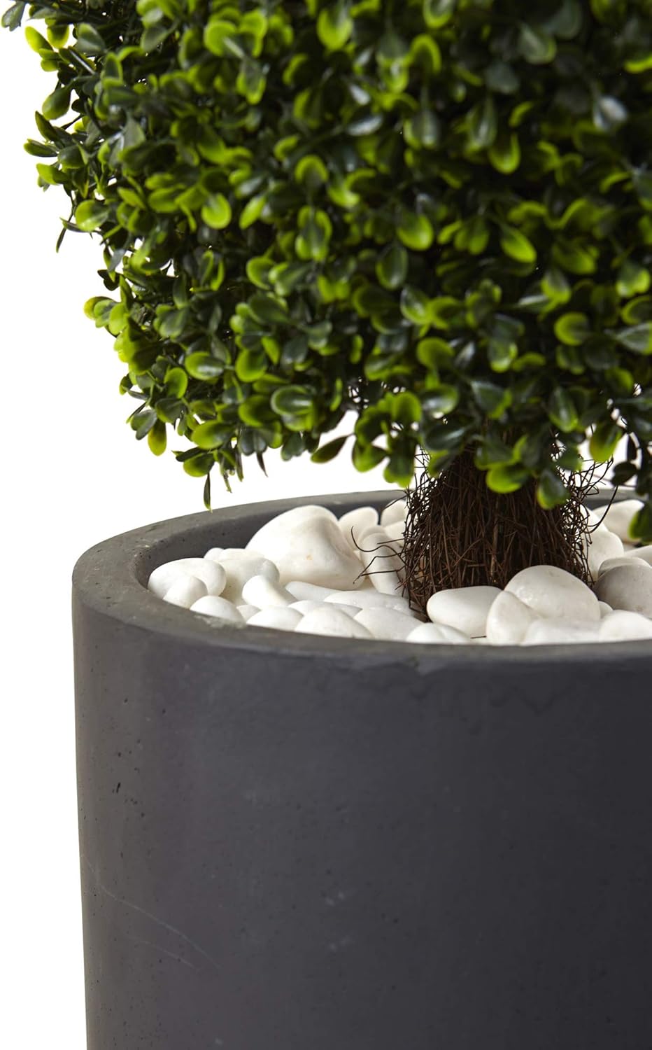 5961 50" Boxwood Topiary W/Planter (Indoor/UV Outdoor) 11.5 in x 11.5 in x 50 in No50