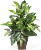 6527 Greens with Wicker Decorative Silk Plant, Green 30 in x 9 in x 7.5 in No50