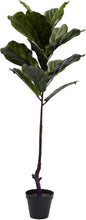 4ft. Fiddle Leaf Tree UV Resistant (Indoor/Outdoor)