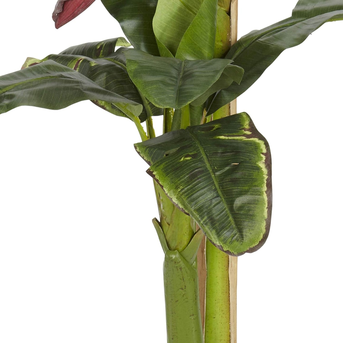 5ft. + 3ft. Banana Silk Tree with Bananas